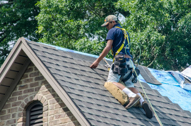 Best Storm Damage Roof Repair  in Emerson, NJ